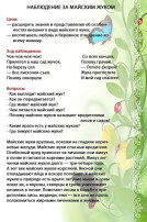 Наблюдение за насекомыми Наблюдение за насекомыми.