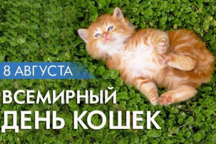 Всемирный день кошек! Всемирный день кошек!.