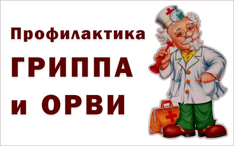 Профилактика гриппа и ОРВИ Профилактика гриппа и ОРВИ.