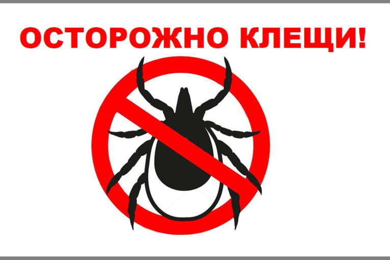 Берегись клещей! Берегись клещей!.